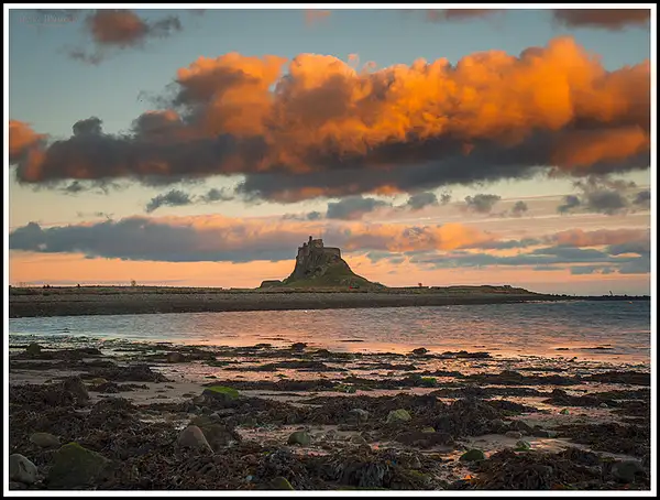 Northumberland Snapshots by Alpha Whiskey Photography