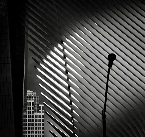 Calatrava's Dream by Gigi Chung