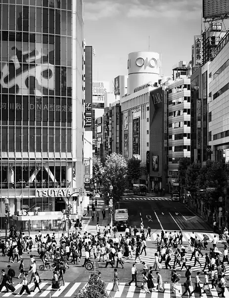 Shibuya Crossing by Gigi Chung