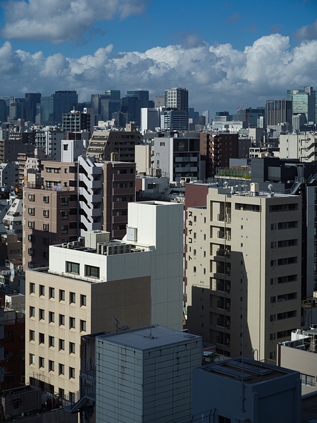 Tokyo Skyline - Tokyo - GIGI CHUNG PHOTOGRAPHY
