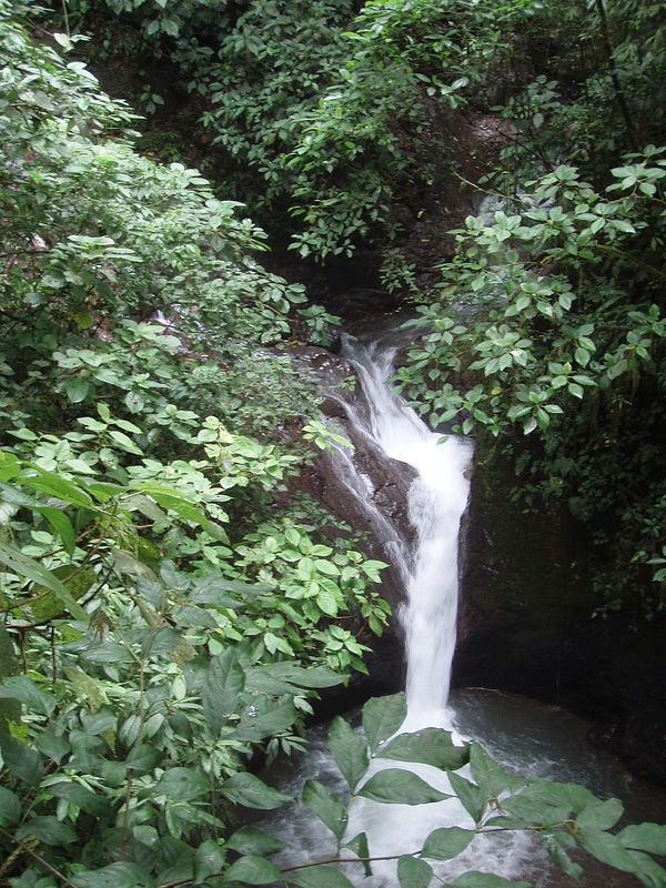 Waterfall Below