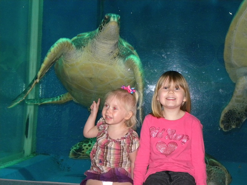 Allison loved the Turtles!