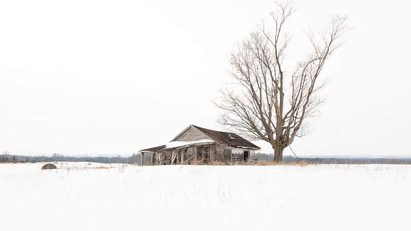Abandoned Series by DEE POTTER