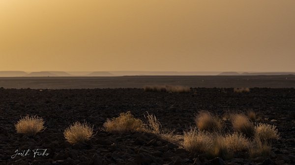 yemeni desert sunset-1 - Special: Namibia - Garth Fuchs Photography 