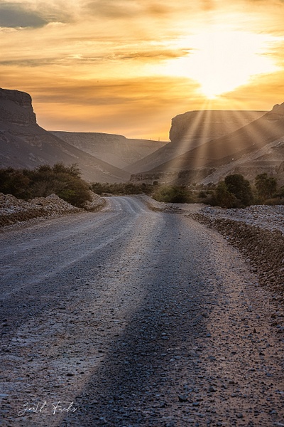 sand Road with sunset in the Yemen Desert-1 - Special: Namibia - Garth Fuchs Photography