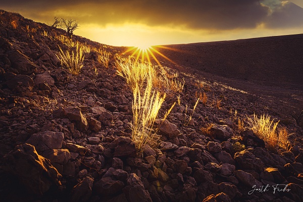 Grass in the sun in the Yemeni Desert-1 - Special: Namibia - Garth Fuchs Photography 