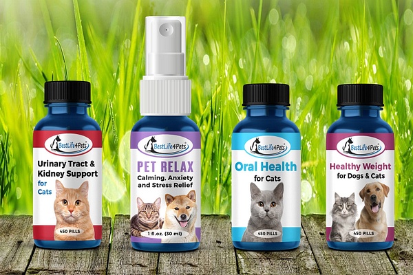 BestLife4Pets-Products-Cat - Graphic Design by 5 Star Studio at Luminous Light Photo and Design 