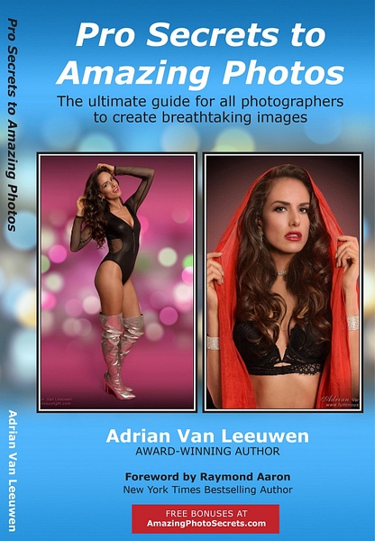 Book-Cover-Pro-Secrets - Graphic Design - LuminousLight