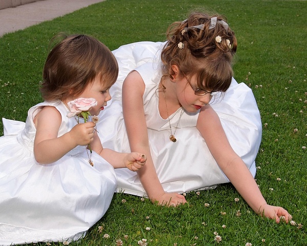 children-picking-flowers - Galleries of our Best Photography, Video and Graphic Design by LLP 