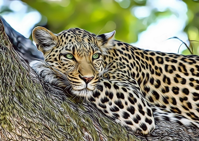 Leopard-Tree-Art-017