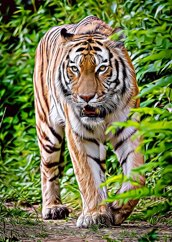 Tiger-Art-020