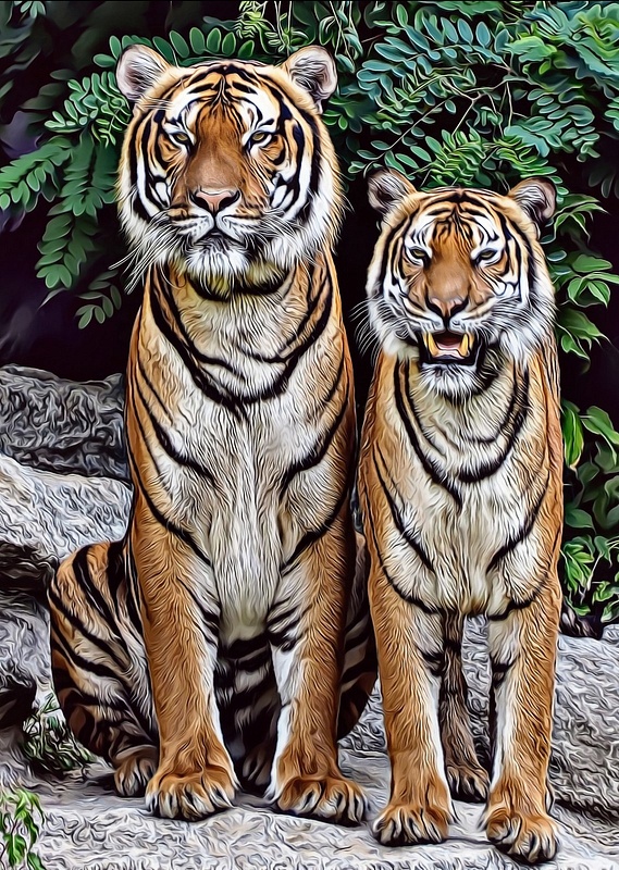 2_Tigers-Art-049