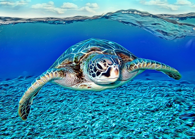 turtle-in-sea-waves-025