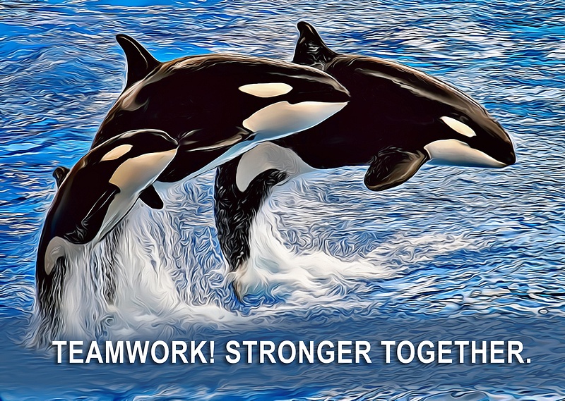 Orca-Whale-family-poster
