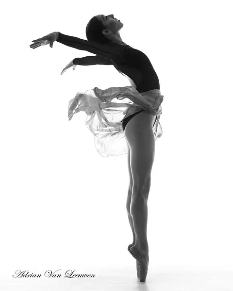 Ballerina 4 by LuminousLight