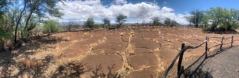 Puako Petroglyph Park