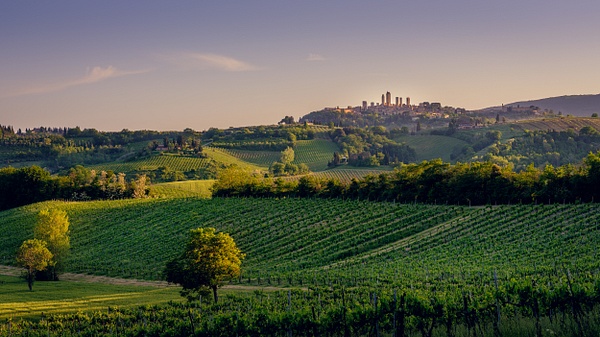 San Gimignano, Italy, 2022 - Landscapes ̵ Thomas Speck Photography