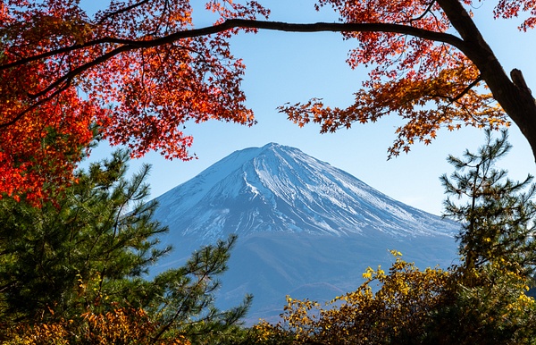 Fuji san - Japan in Autumn - KiritVora