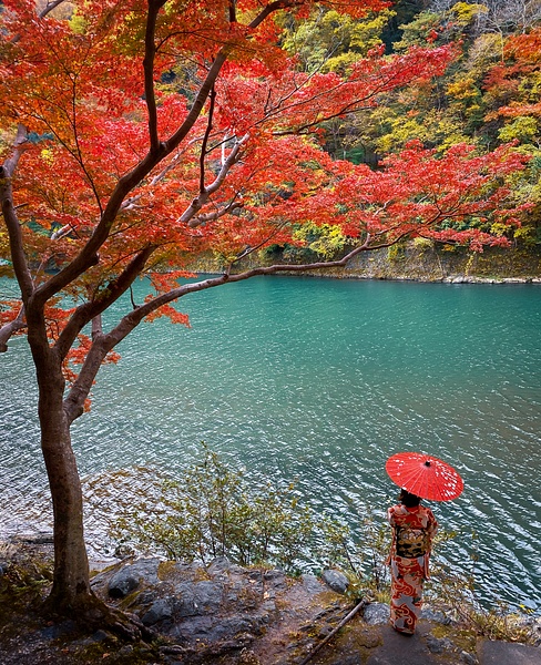 maple - Japan in Autumn - Kirit Vora Photography