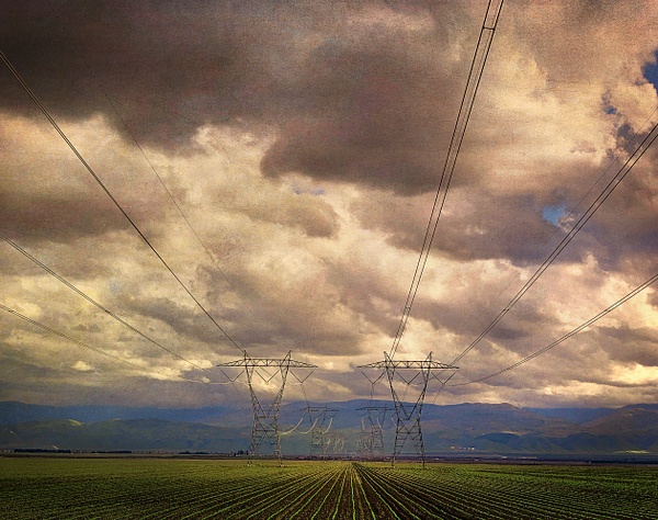Working the Lines, CA Version 1 - California - Joanne Seador Photography 