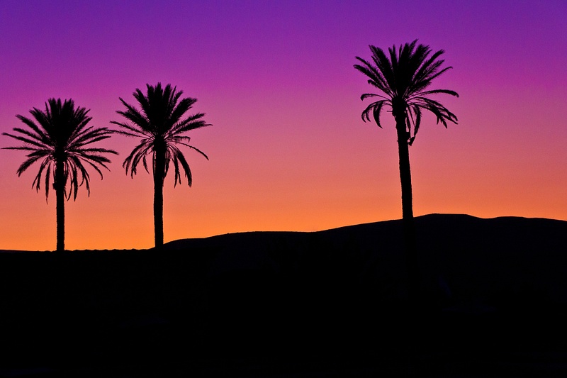 Sunset in the Judean Desert I