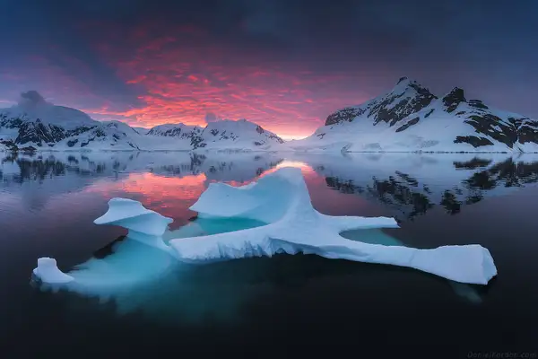 Antarctica - 2017 by Daniel Kordan