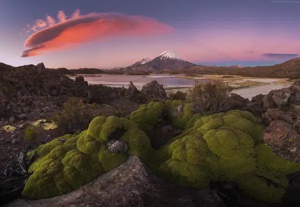 Altiplano Expedition, April-May 2016 by Daniel Kordan