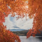 Japan, Fall