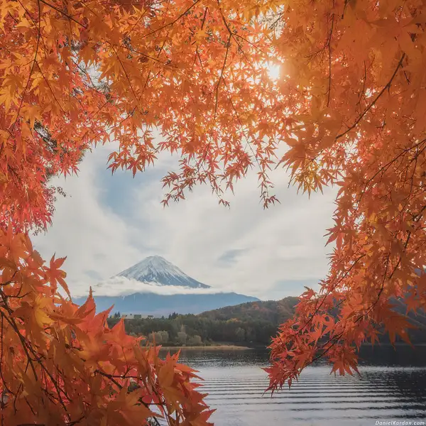 Japan, Fall by Daniel Kordan