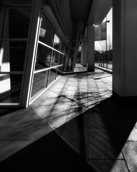 Denver Shadows - Black and White - Picturely