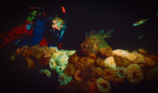 Randy scorpionfish USSSanDeigo - Divers - Keith Ibsen Photography 
