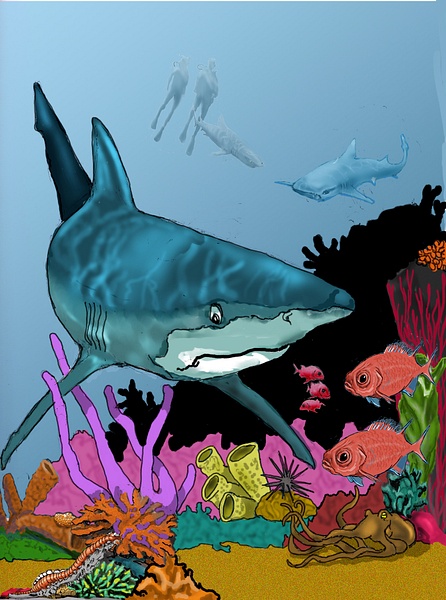 reef and sharkcolorcorr - Illustrations - KeithIbsenPhotography