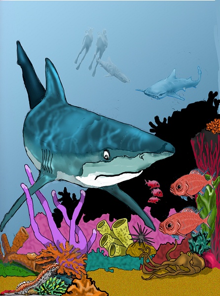reef and sharkcolorcorr1 - Illustrations - Keith Ibsen Photography 