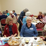 U3A Events and Activities