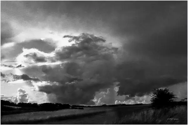 PPG_Interesting_Skies_BW-05 by Pewsey U3A