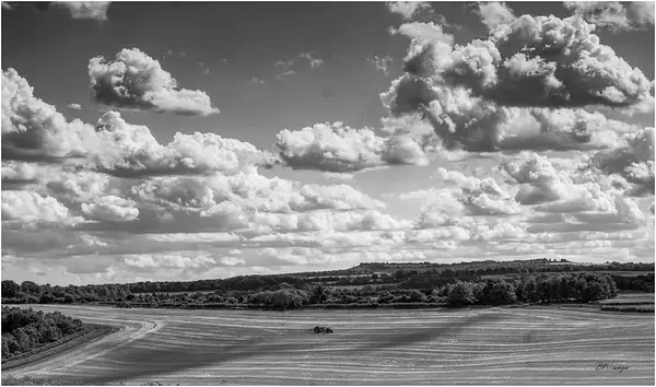 PPG_Interesting_Skies_BW-03 by Pewsey U3A