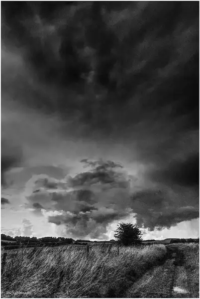 PPG_Interesting_Skies_BW-06 by Pewsey U3A