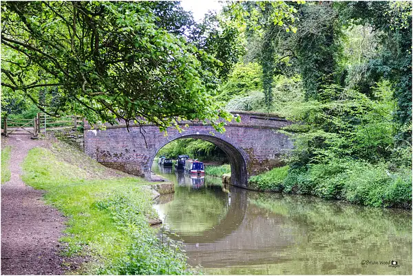 Kennet-&-Avon-Canal-Wilcot-May2019 by Pewsey U3A