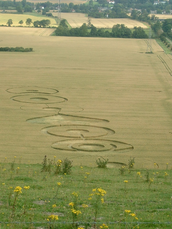 Pewsey-Hill-crop-circles-July-2004