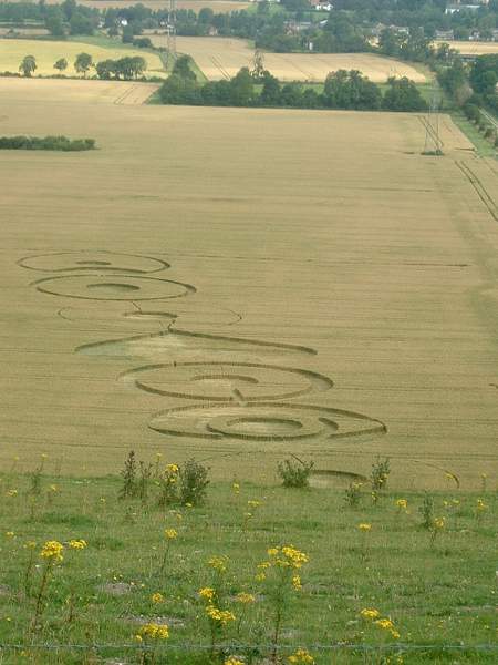 Pewsey-Hill-crop-circles-July-2004 by Pewsey U3A