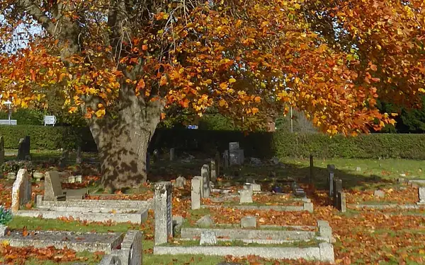 PPG_Autumn_2021_wpl_03 by Pewsey U3A