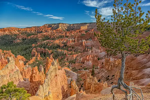 Bryce Canyon by John Roberts