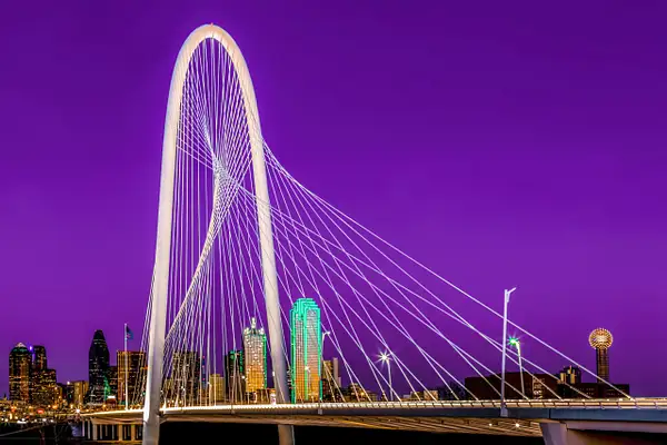 Dallas Skyline Purple by John Roberts