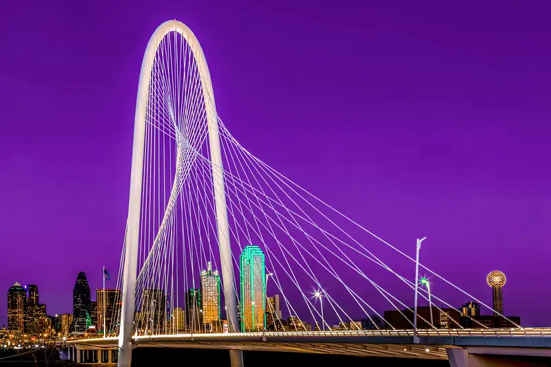Dallas Skyline Purple