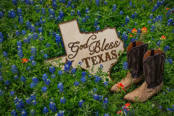 God Bless Texas by John Roberts