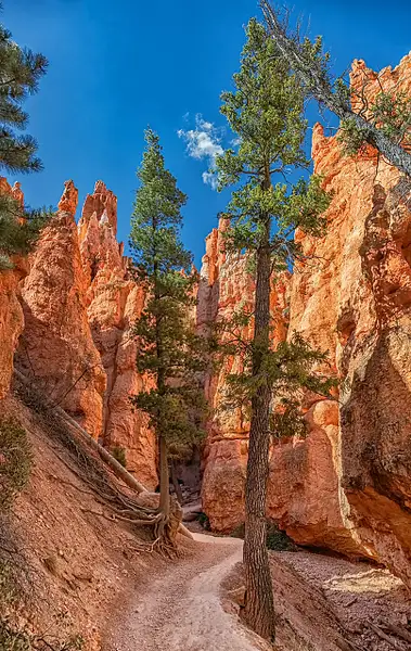 Hiking in Bryce Canyon by John Roberts