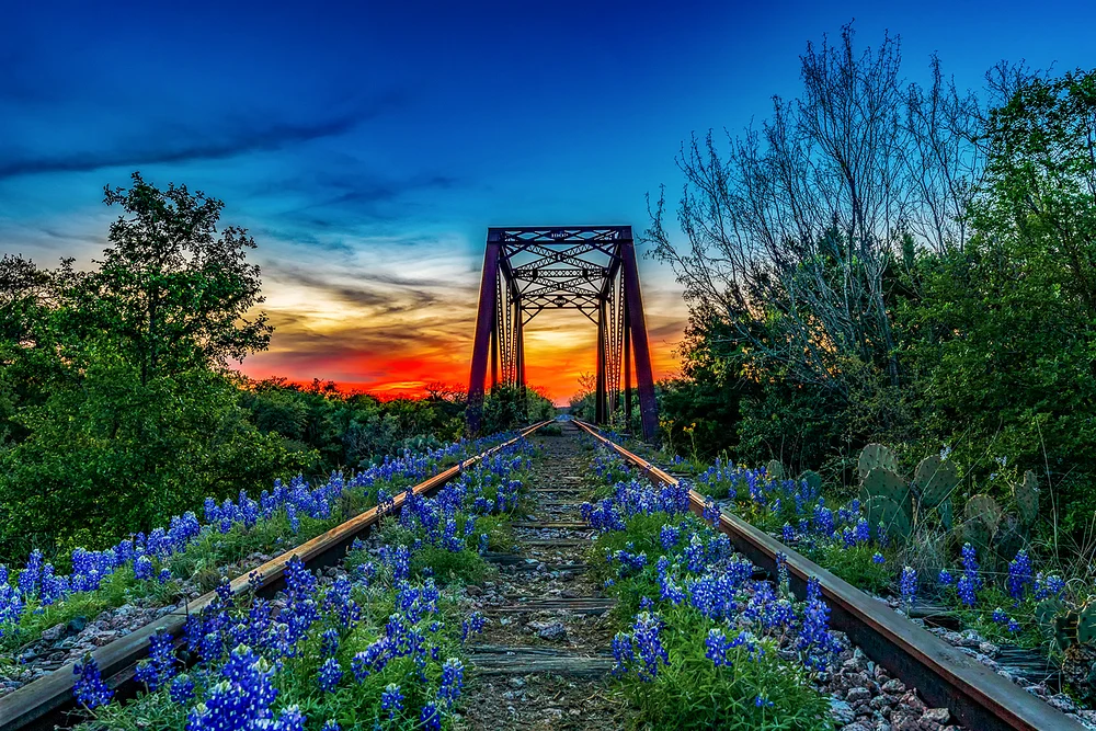 Bluebonnet Trestle Sunset