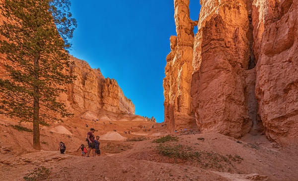 Navajo Loop Trail_Bryce Canyon Sunset Point - John Roberts - Clicking With Nature®