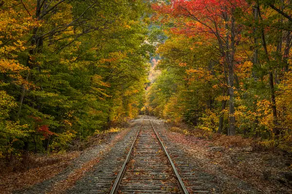 NH Railroad Tracks by John Roberts