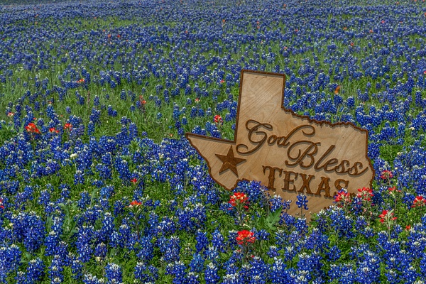 God Bless Texas - Clicking with Nature Photography 